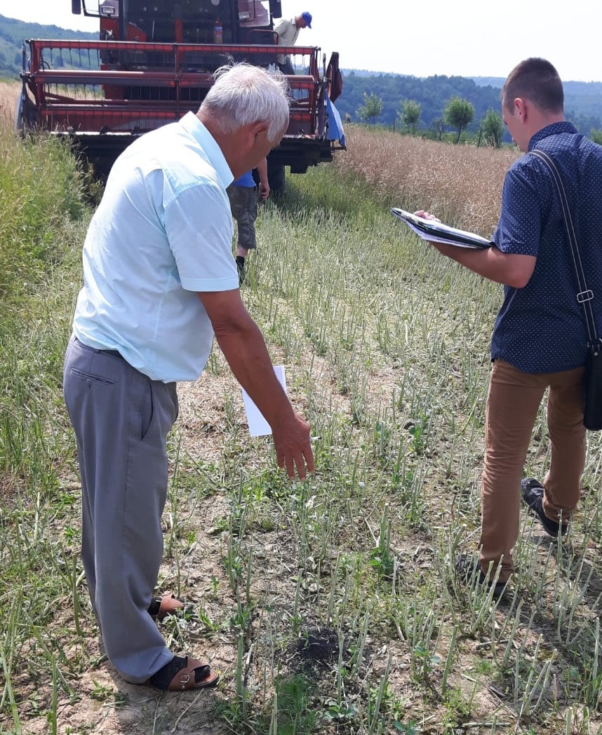 free Template by uicookies.com